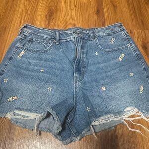 American Eagle Blue Jean Shorts with Floral Embroidery
